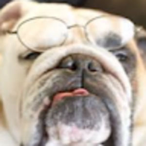 Meet your Posher, Jeff